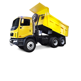 Truck Driving License